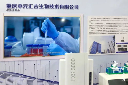 2021智博會(huì) 大渡口區(qū)14家企業(yè)攜前沿科技產(chǎn)品集體亮相，展示區(qū)域創(chuàng)新實(shí)力